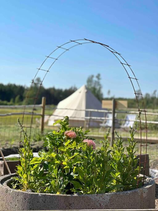 Mickels Bondgardsglamping Hotell Gottby Exteriör bild